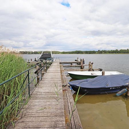 Ferienwohnung Habicht Villa-Paelitzsee Grosszerlang エクステリア 写真