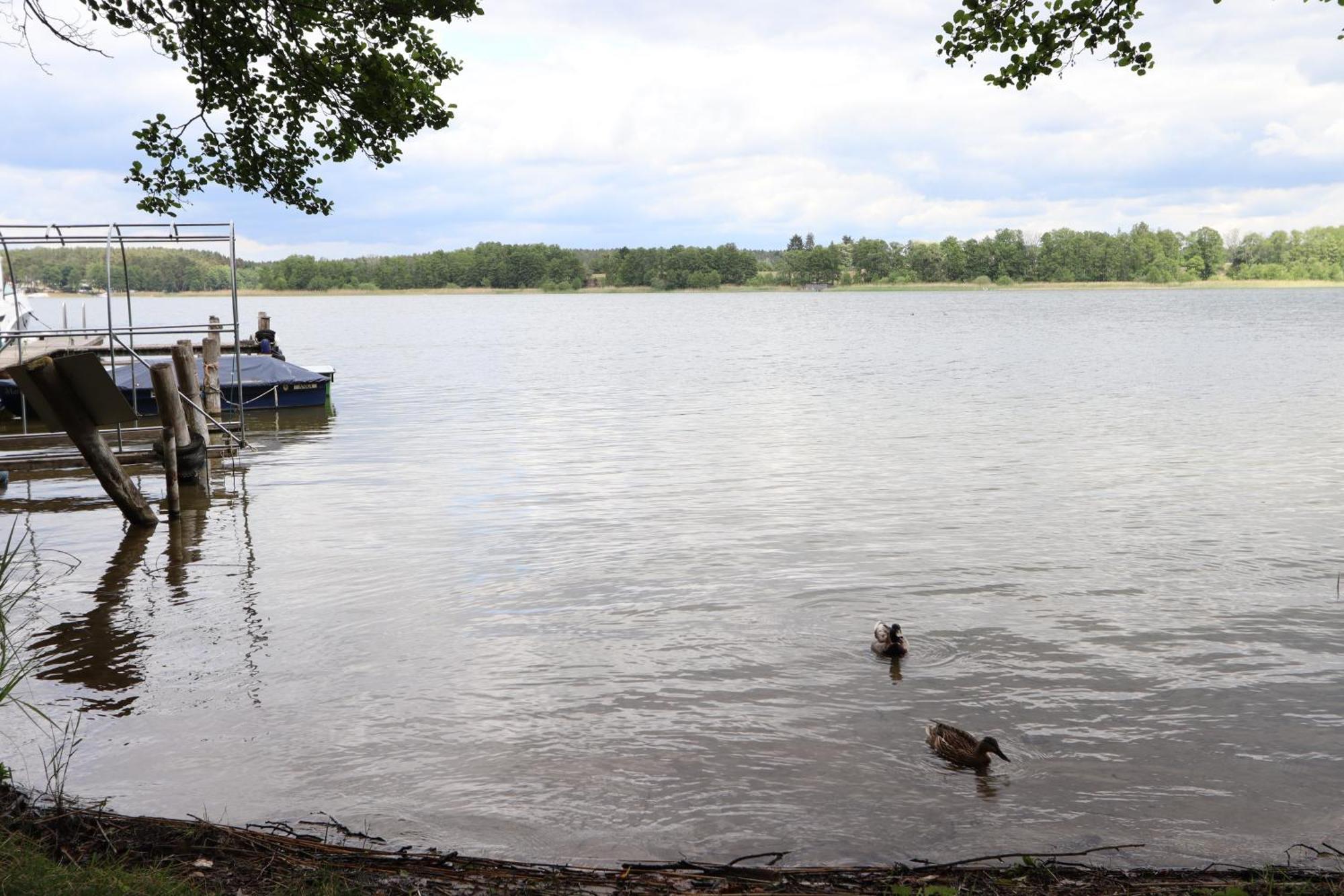 Ferienwohnung Habicht Villa-Paelitzsee Grosszerlang エクステリア 写真